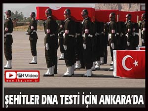 Şehitler, DNA testi için Ankarada