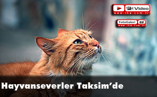 Hayvanseverler Taksimde