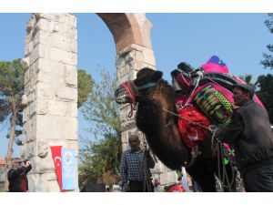 Selçuk Efes Deve Güreşleri Derneği Hizmete Girdi