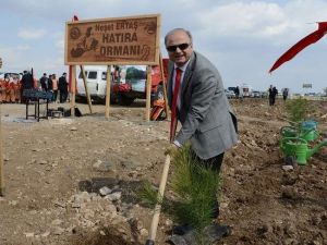 Bozkırın Tezenesi Ağaçlarda Yaşayacak