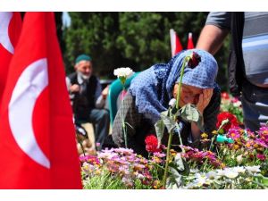 Berkay’ım Bak, Baban Burada Yatıyor