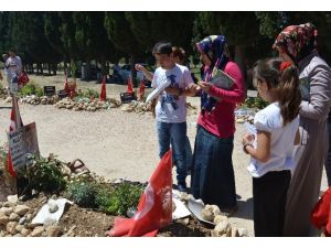 Karnesini Alan Babasının Mezarına Koştu