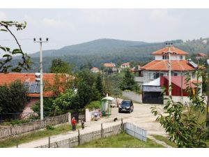 Gulyabani Söylentisi Huzur Bırakmadı