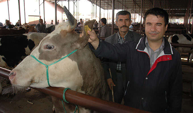 Veteriner Hekimden Kurbanlık Uyarısı