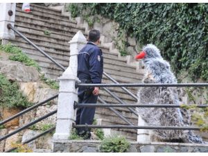 Memur Bey Şöyle Şehrin Üzerinde Bir Tur Atacağım !