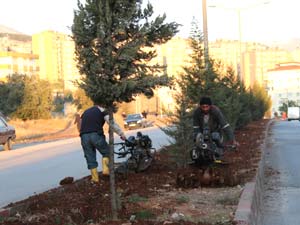 Refüj ve Kavşaklarda Düzenleme Çalışmaları