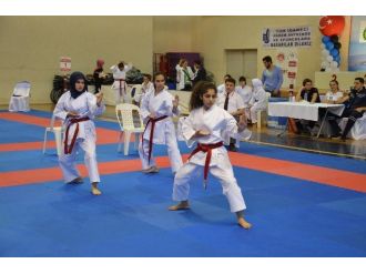 Türkiye Karate Şampiyonası Gemlik’te Başladı