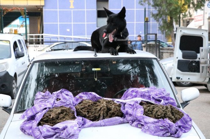 Aile süsü vererek uyuşturucu sevkiyatı polise takıldı