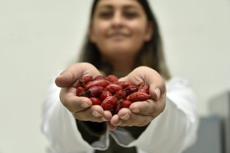 100 gramı bir kasa portakala eşdeğer