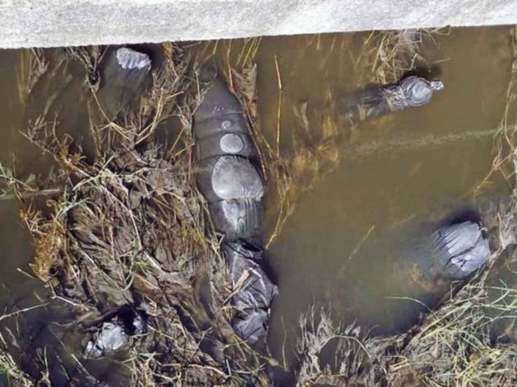 Siyah poşetler içinde 19 ceset bulundu