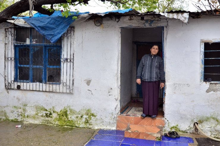 Tek isteği akülü tekerlekli sandalye