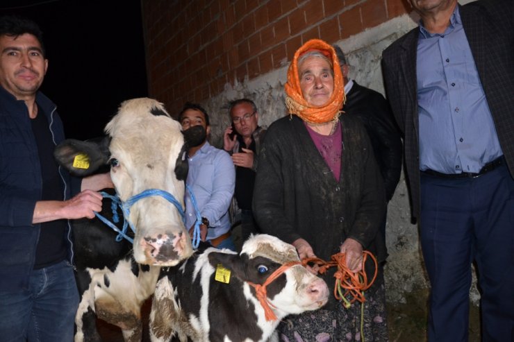 O nine için Bakanlık harekete geçti