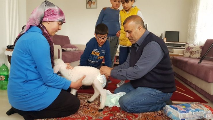 Kuzuyla alışverişe gidiyor, çocuk bezi bağlıyor