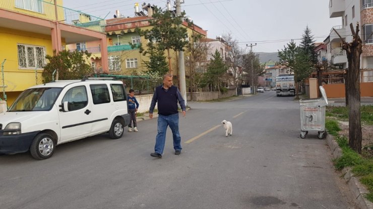 Kuzuyla alışverişe gidiyor, çocuk bezi bağlıyor