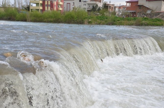 Elbistan'da göç yolundaki balıklar şelaleye takıldı