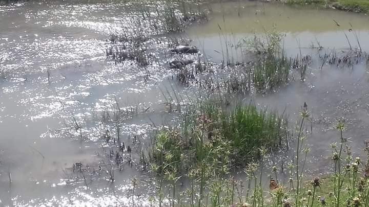 Hatay’da nehirde 2 ceset bulundu