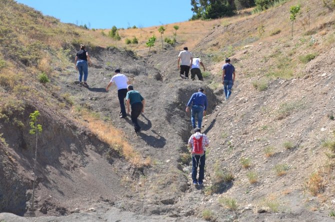 Kahramanmaraş'ta 35 milyon yıllık fosiller incelemeye alındı