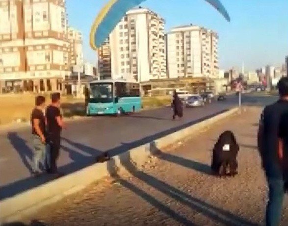 Kahramanmaraş'ta paraşütçü kara yoluna indi