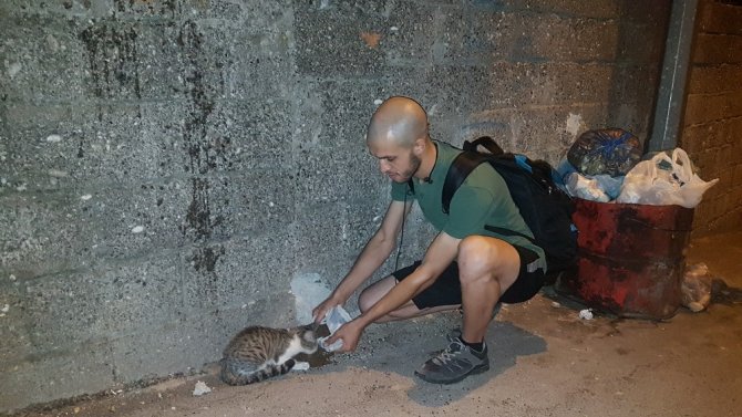 Kahramanmaraş'ta Hayatını sokak hayvanlarına adadı