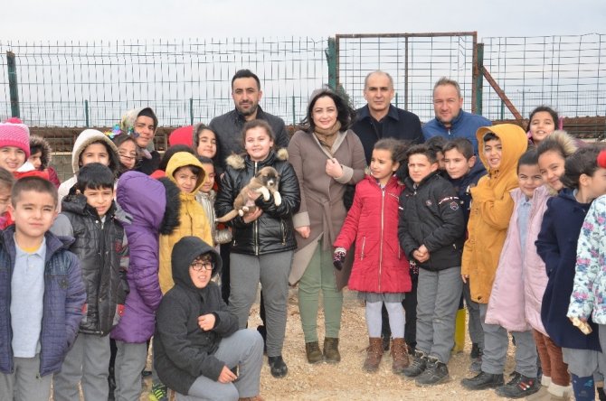 Harçlıklarıyla sokak hayvanlarına 2,5 ton sakatat aldılar