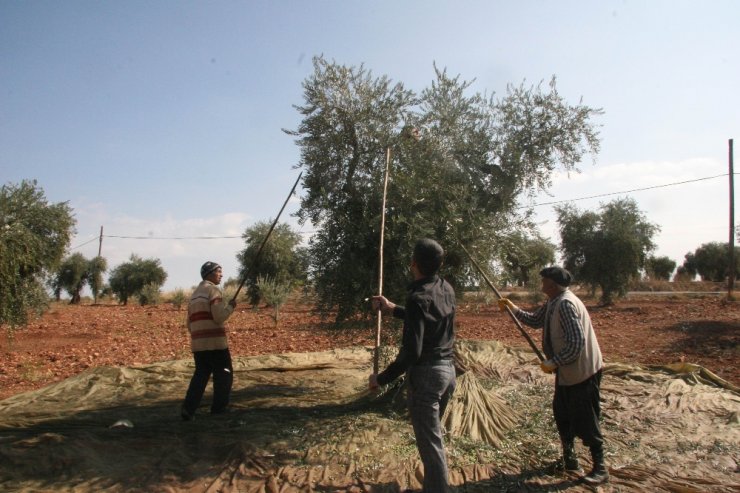 Kilis’te bulundu: 4 bin yıl öncesine ait