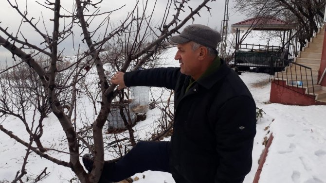 Kahramanmaraş'ta bayat ekmekleri toplayıp yaban hayvanlarına bırakıyor