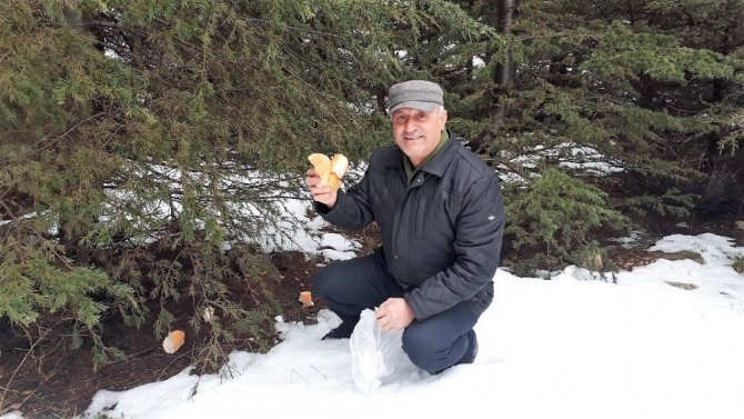 Kahramanmaraş'ta bayat ekmekleri toplayıp yaban hayvanlarına bırakıyor