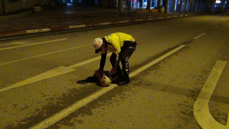 Polis memuruyla köpeğin gülümseten görüntüleri