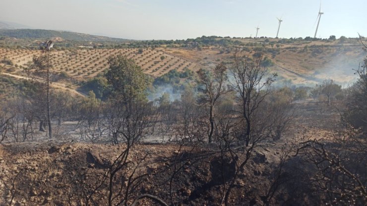 Hatay’da orman yangını