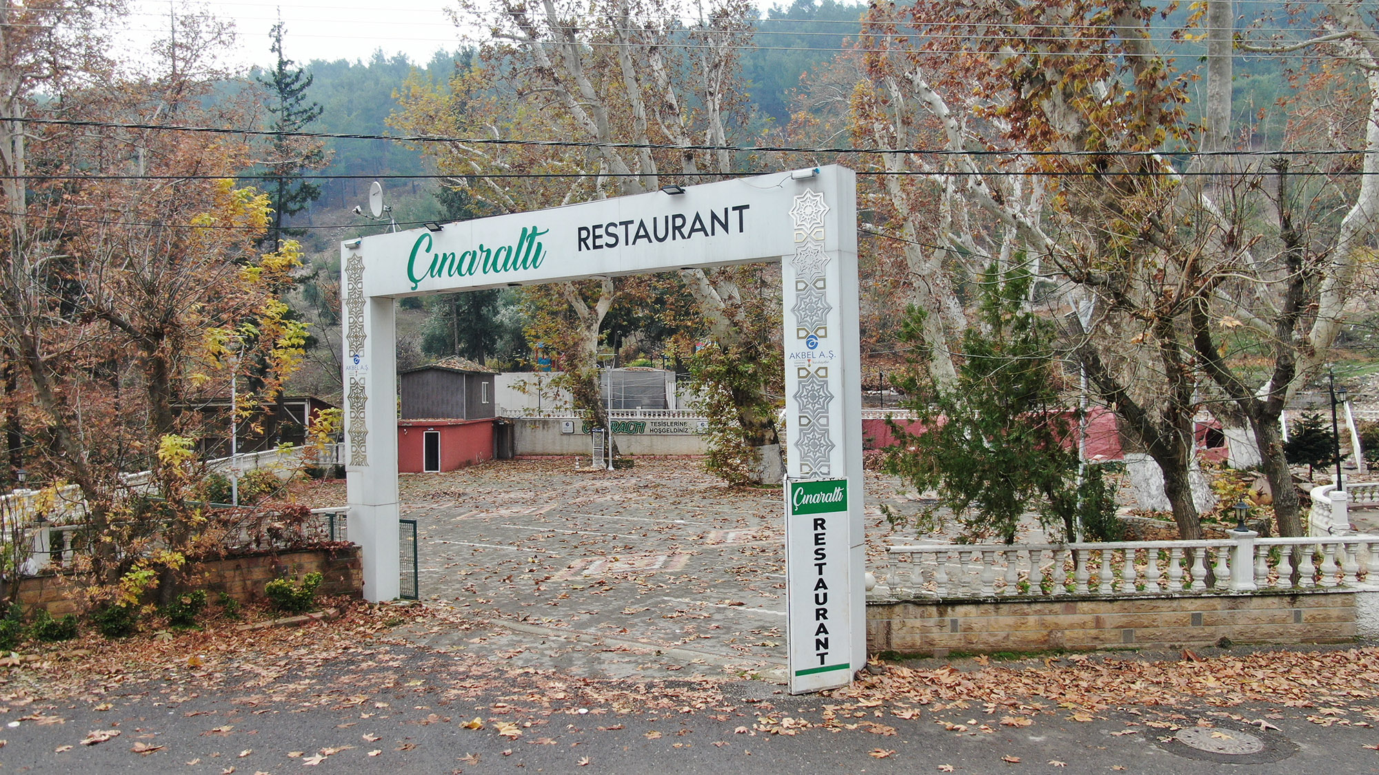 cinaralti-2.jpg