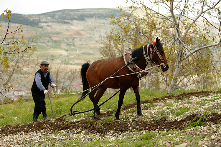 08-nisan-09-mart-06-aa-31106417.jpg